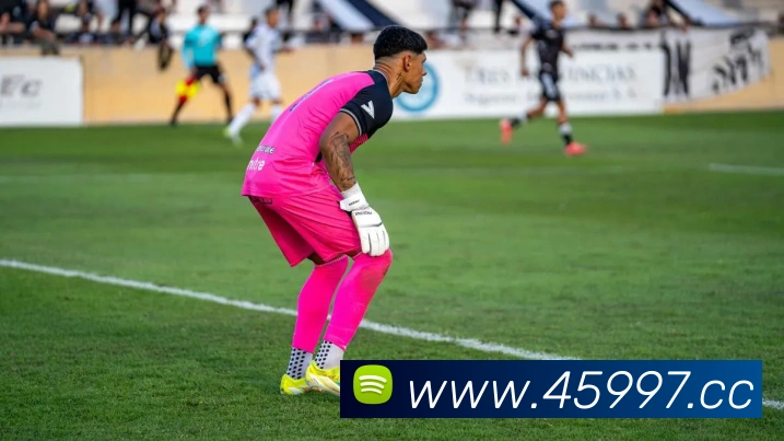 未来规划